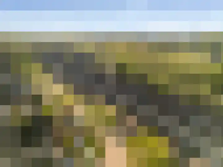 Boelestein 31 Amersfoort thumbnail 26