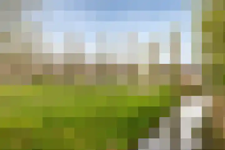 Boelestein 31 Amersfoort thumbnail 27