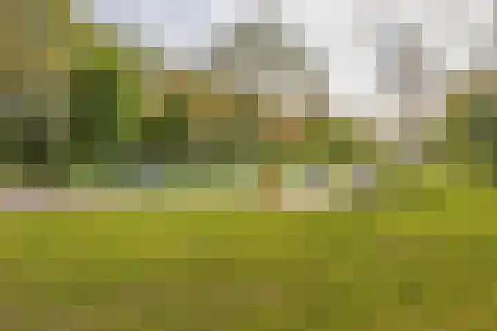 Boelestein 31 Amersfoort thumbnail 28