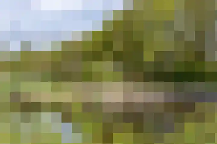 Boelestein 31 Amersfoort thumbnail 29