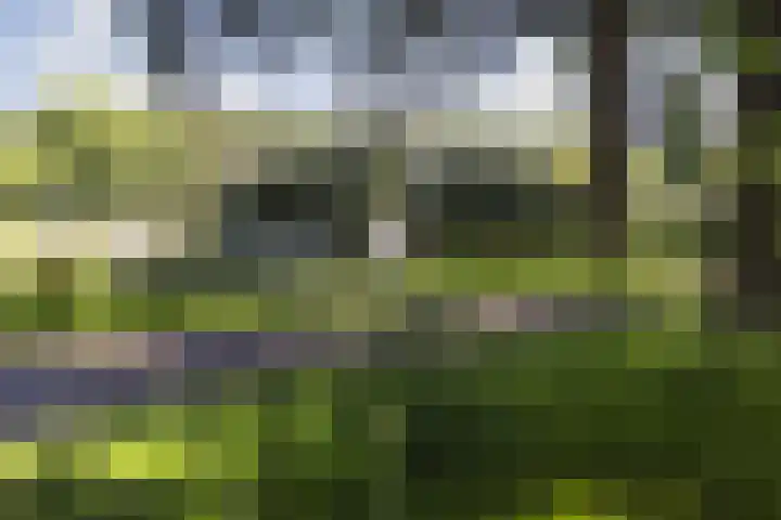 Boelestein 31 Amersfoort thumbnail 30
