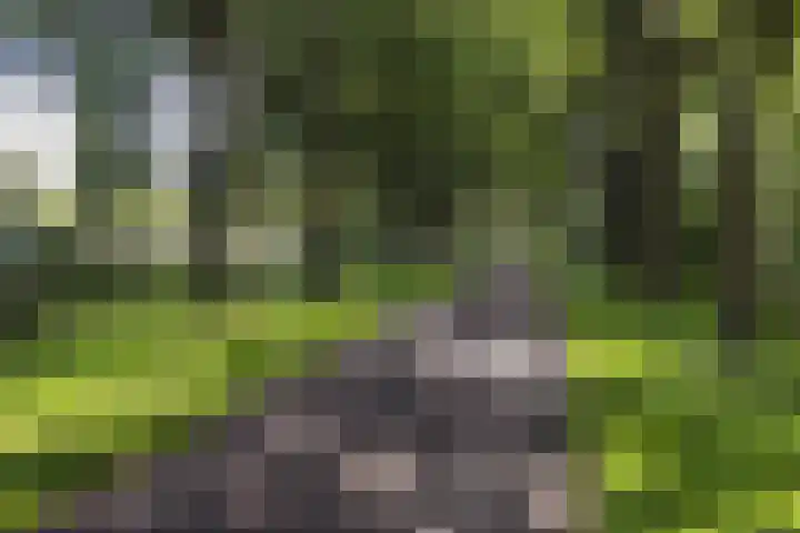 Boelestein 31 Amersfoort thumbnail 31