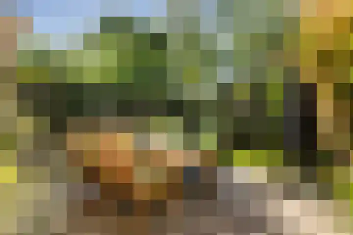 Boelestein 31 Amersfoort thumbnail 5