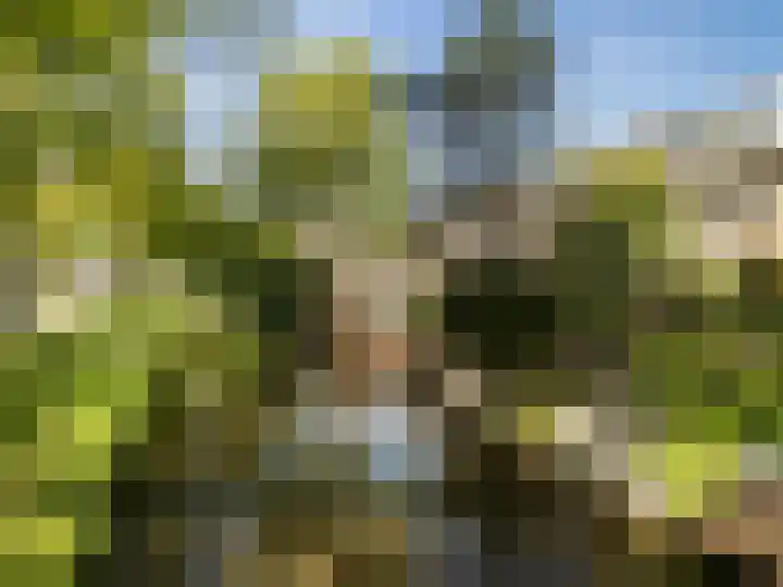 Boelestein 31 Amersfoort thumbnail 6