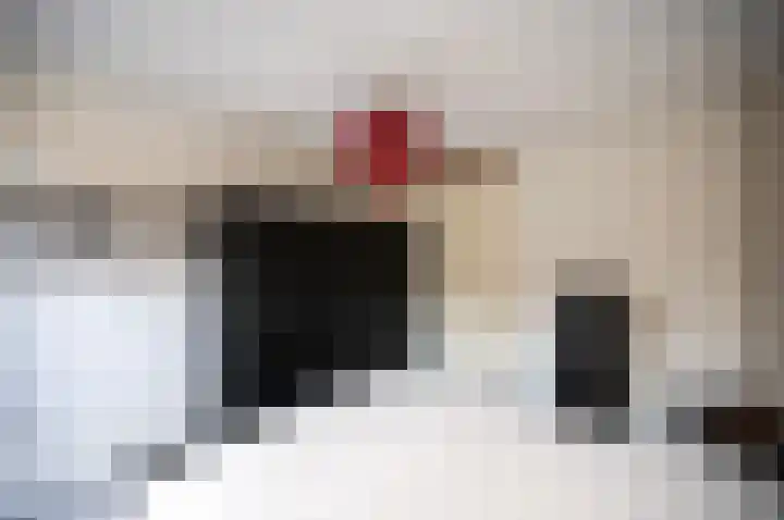 Boelesteinlaan 1 Utrecht thumbnail 26