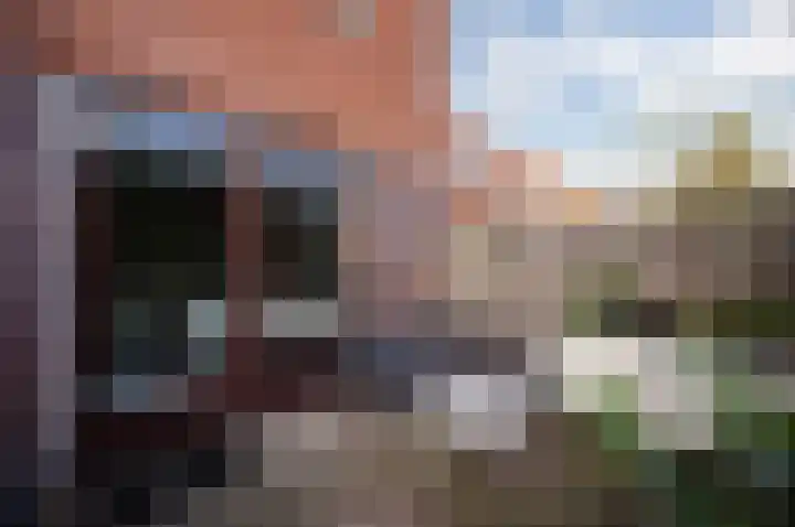 Boelesteinlaan 1 Utrecht thumbnail 28