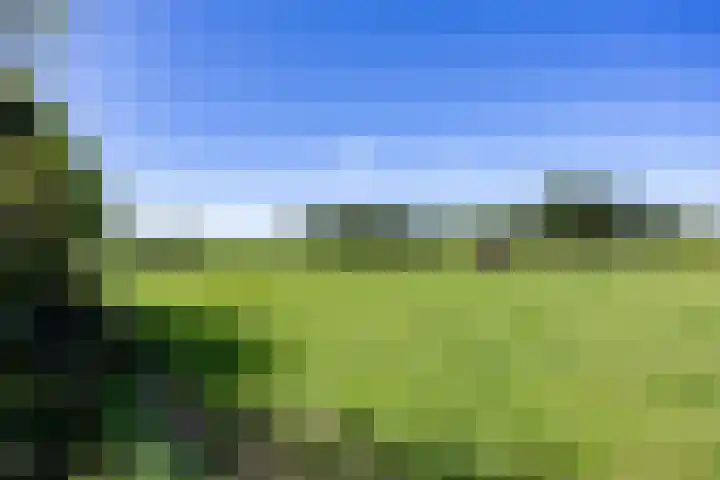 Boelewijk 5 De Wilp thumbnail 100