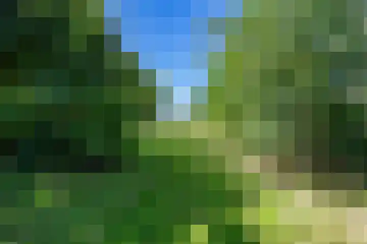 Boelewijk 5 De Wilp thumbnail 101
