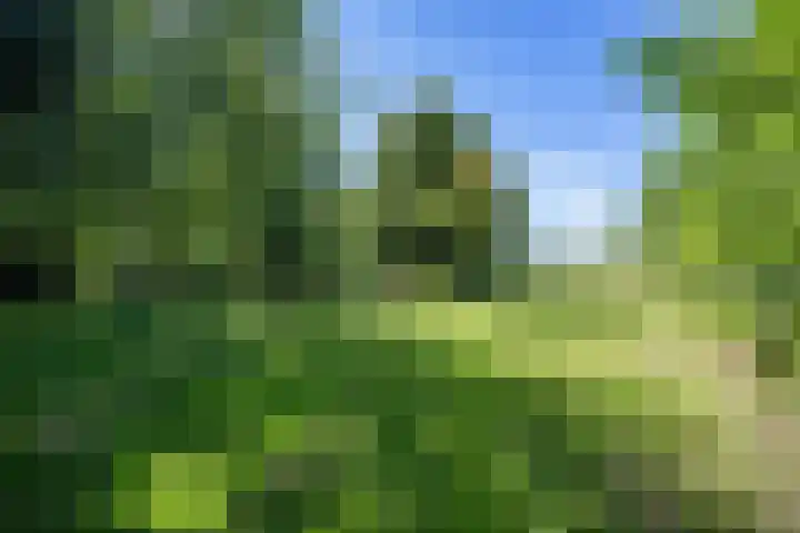 Boelewijk 5 De Wilp thumbnail 102