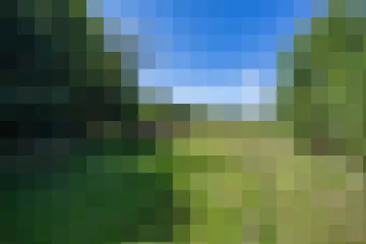 Boelewijk 5 De Wilp thumbnail 103