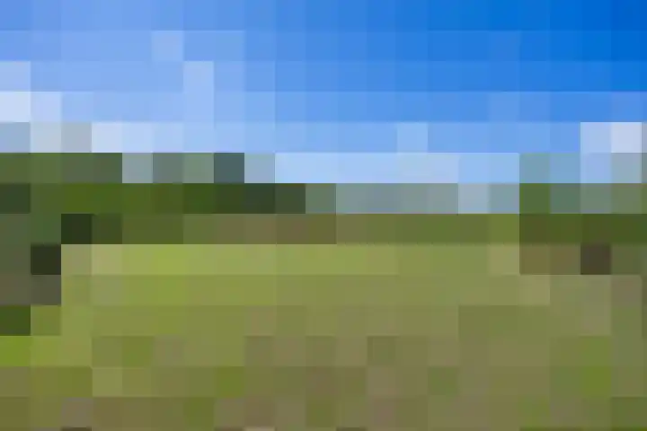 Boelewijk 5 De Wilp thumbnail 104