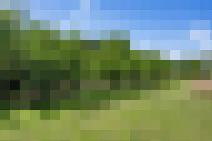 Boelewijk 5 De Wilp thumbnail 105