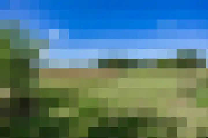 Boelewijk 5 De Wilp thumbnail 106