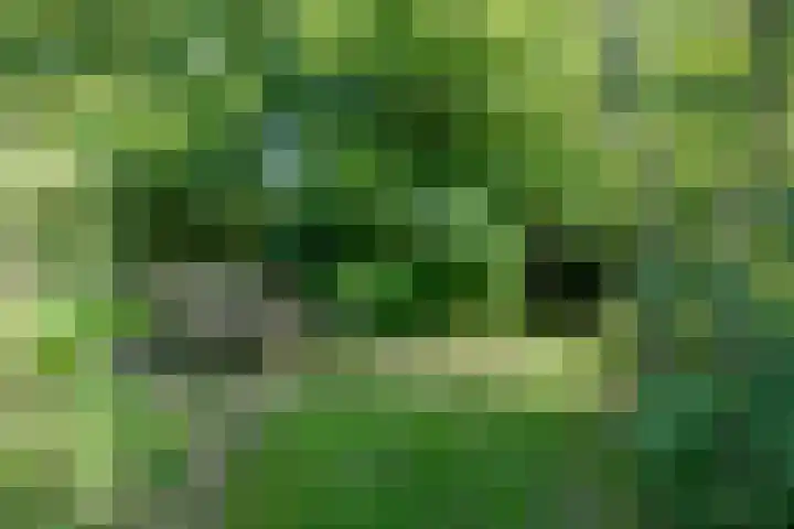 Boelewijk 5 De Wilp thumbnail 107