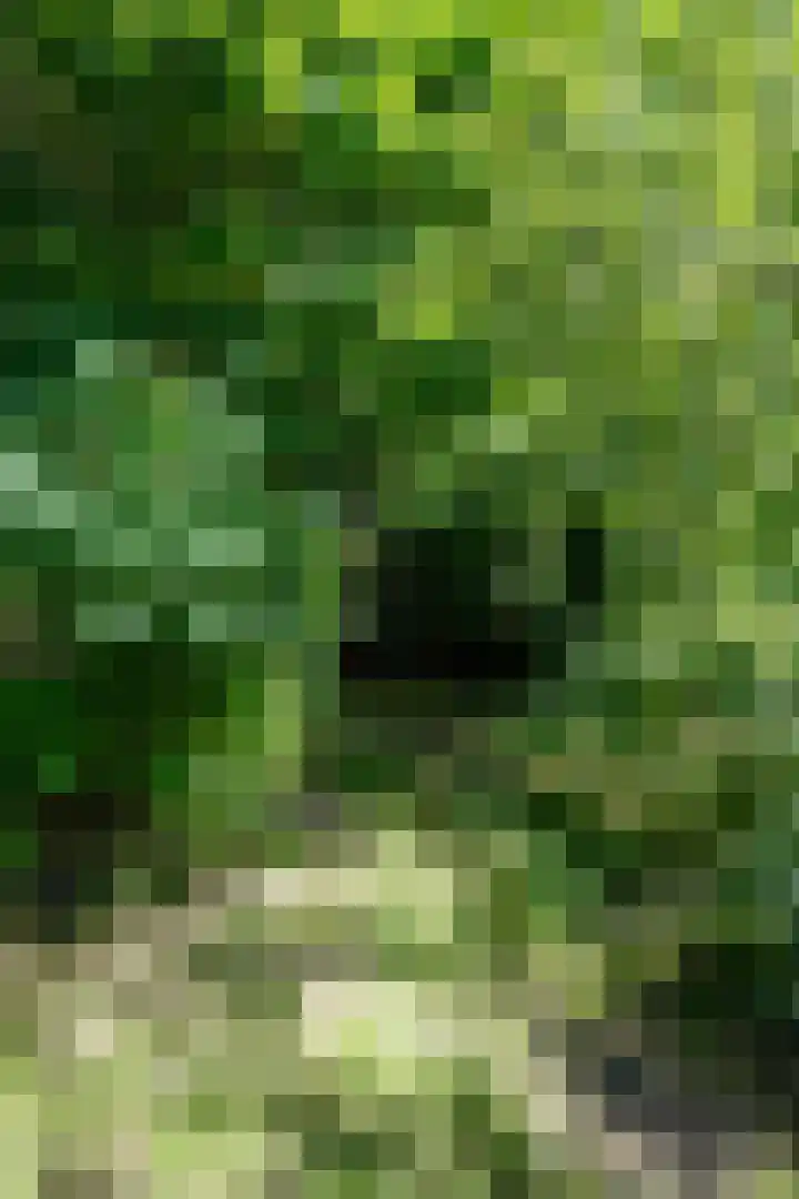 Boelewijk 5 De Wilp thumbnail 108