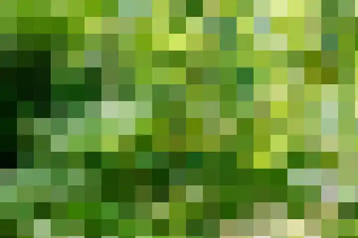 Boelewijk 5 De Wilp thumbnail 109