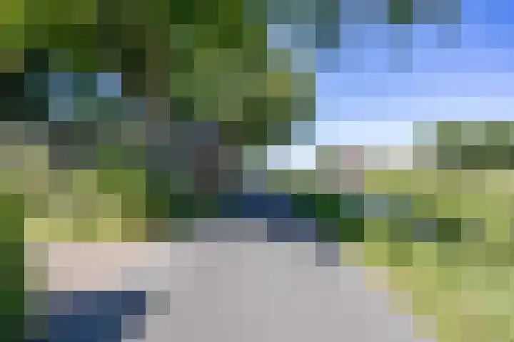 Boelewijk 5 De Wilp thumbnail 11
