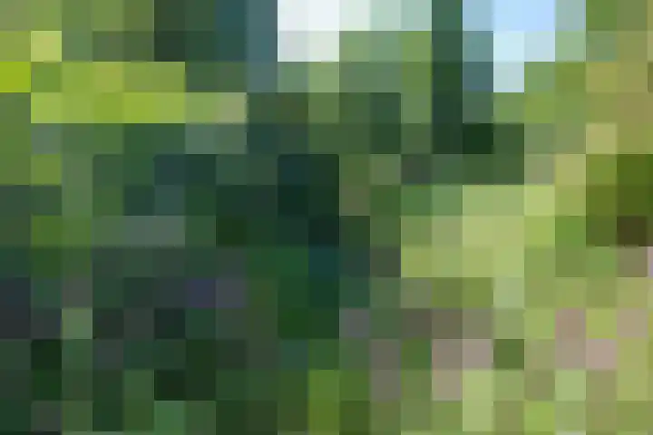 Boelewijk 5 De Wilp thumbnail 110