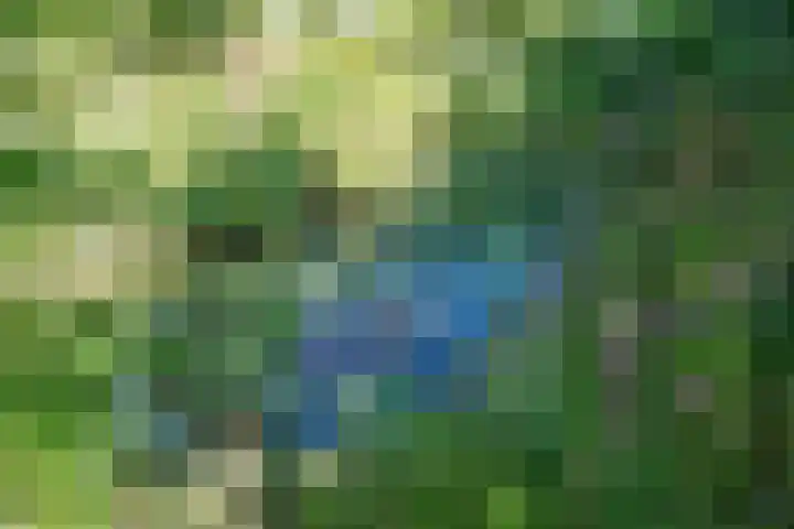 Boelewijk 5 De Wilp thumbnail 112