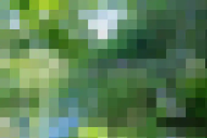Boelewijk 5 De Wilp thumbnail 114