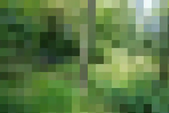 Boelewijk 5 De Wilp thumbnail 115