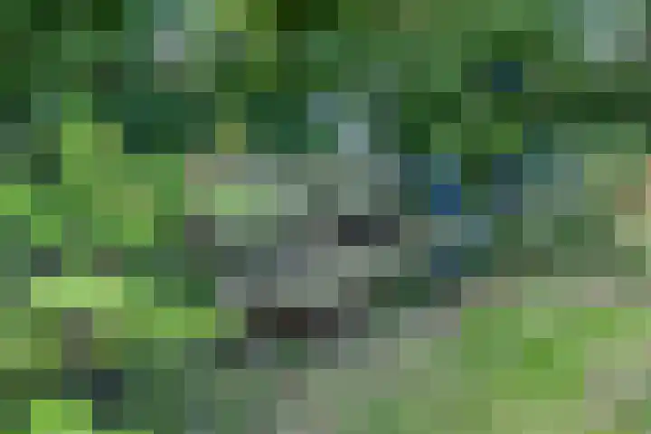 Boelewijk 5 De Wilp thumbnail 116