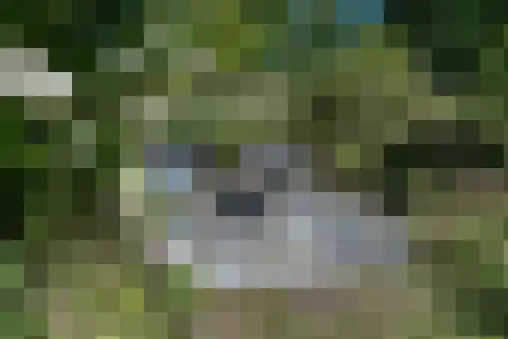Boelewijk 5 De Wilp thumbnail 117