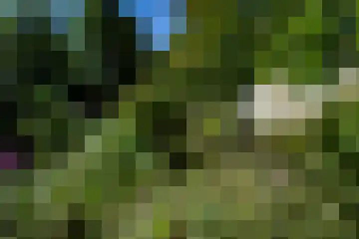 Boelewijk 5 De Wilp thumbnail 118