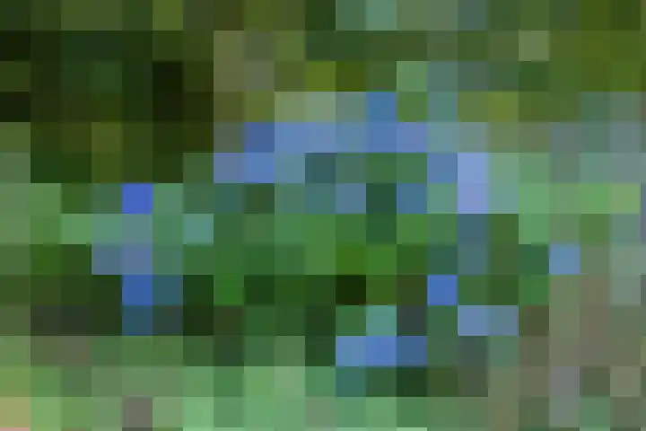 Boelewijk 5 De Wilp thumbnail 119