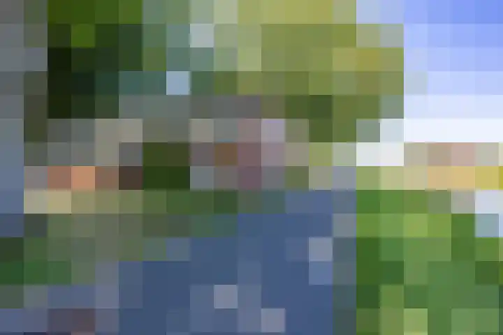 Boelewijk 5 De Wilp thumbnail 12