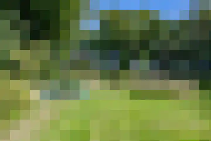 Boelewijk 5 De Wilp thumbnail 120