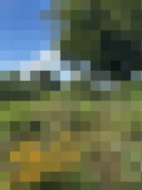 Boelewijk 5 De Wilp thumbnail 122