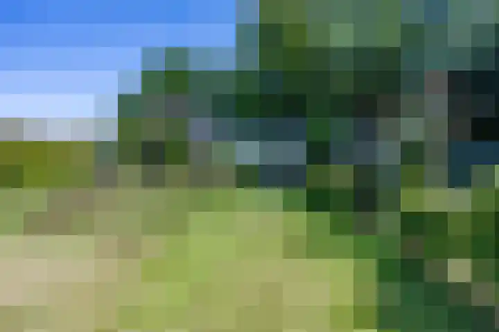 Boelewijk 5 De Wilp thumbnail 123