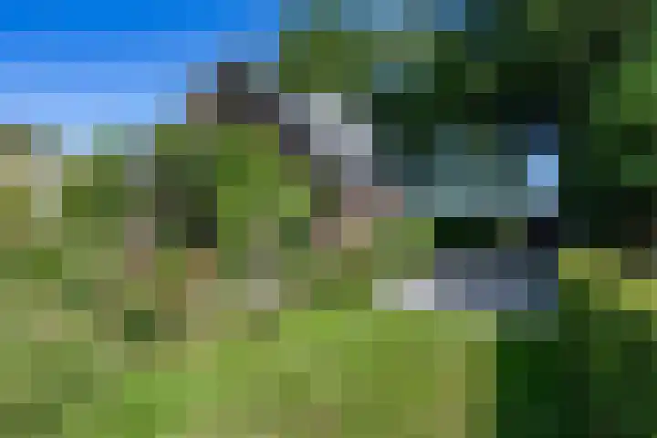 Boelewijk 5 De Wilp thumbnail 124