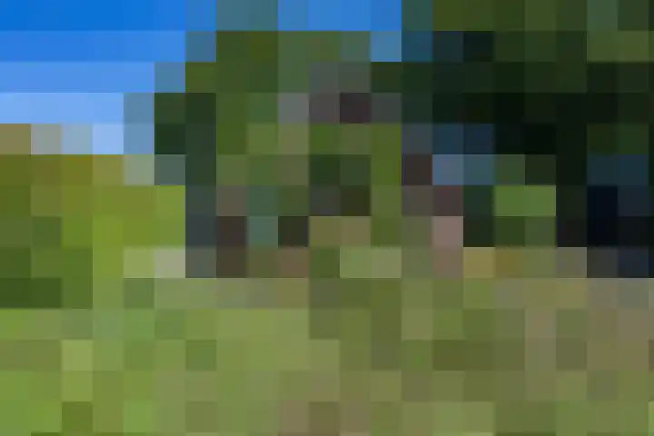Boelewijk 5 De Wilp thumbnail 125