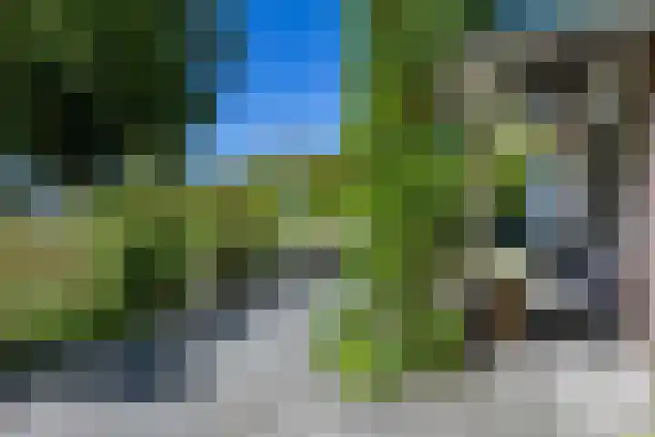 Boelewijk 5 De Wilp thumbnail 128