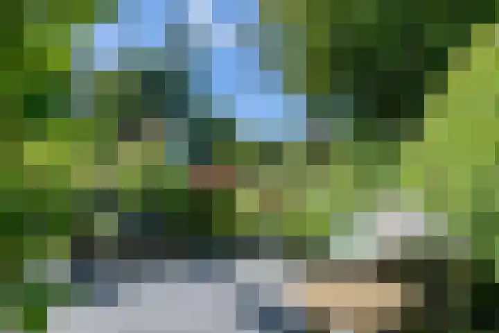 Boelewijk 5 De Wilp thumbnail 129