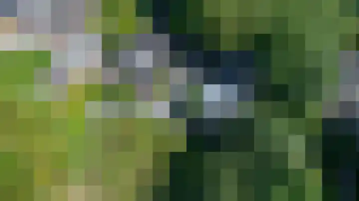 Boelewijk 5 De Wilp thumbnail 131