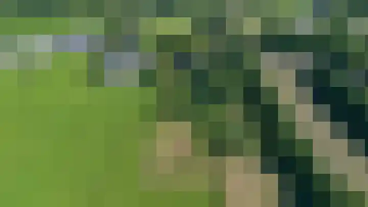 Boelewijk 5 De Wilp thumbnail 133