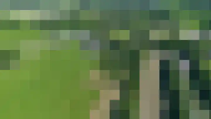 Boelewijk 5 De Wilp thumbnail 134