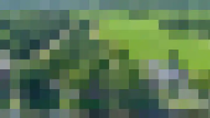 Boelewijk 5 De Wilp thumbnail 135