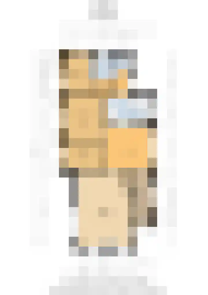 Boelewijk 5 De Wilp thumbnail 137