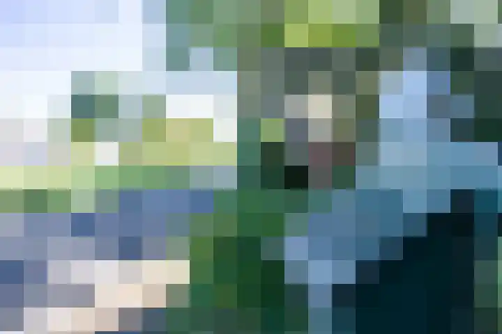 Boelewijk 5 De Wilp thumbnail 16