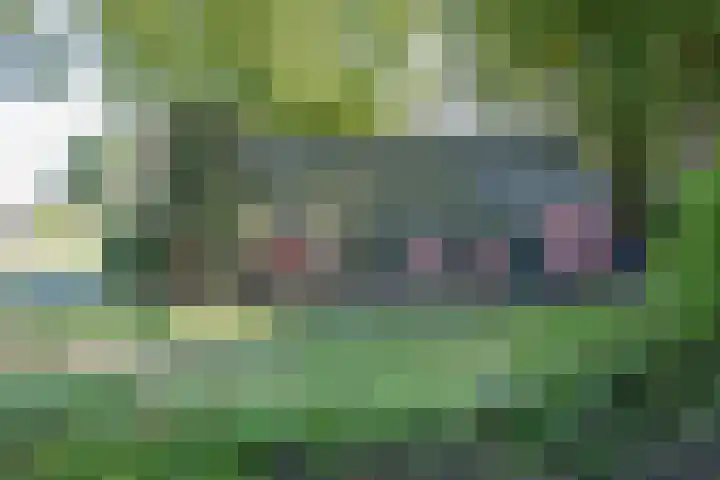 Boelewijk 5 De Wilp thumbnail 18