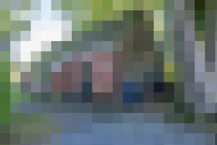 Boelewijk 5 De Wilp thumbnail 27