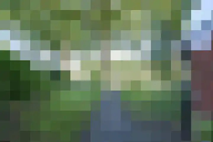 Boelewijk 5 De Wilp thumbnail 28