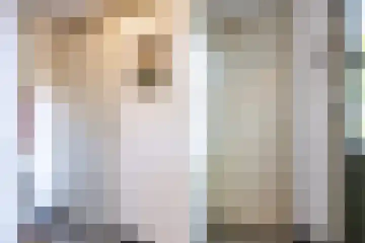 Boelewijk 5 De Wilp thumbnail 30