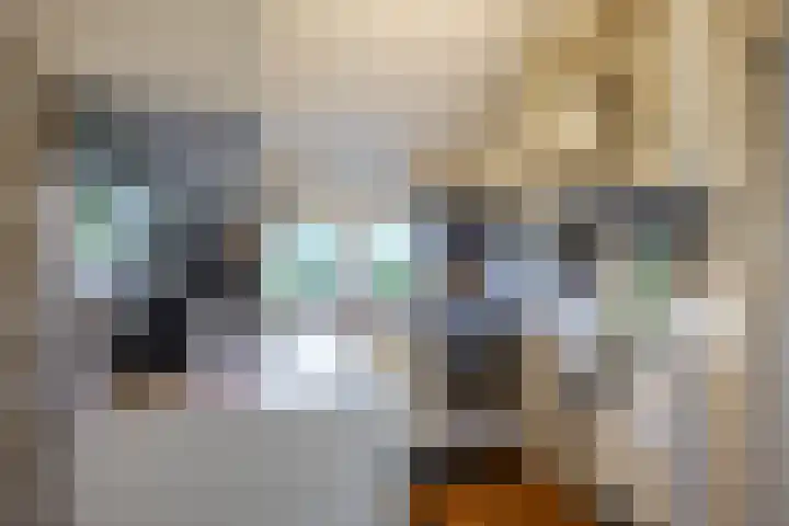 Boelewijk 5 De Wilp thumbnail 35