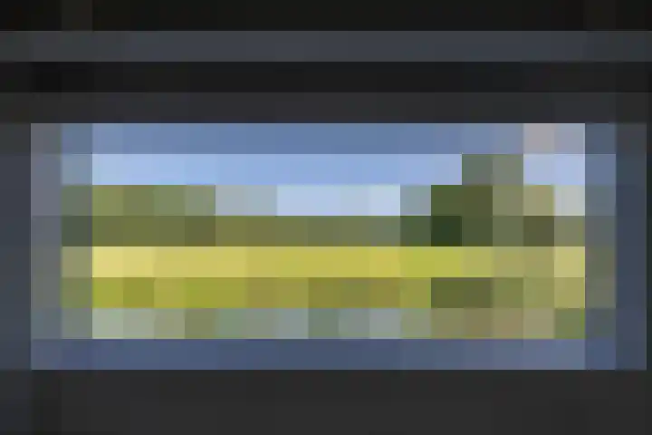 Boelewijk 5 De Wilp thumbnail 41