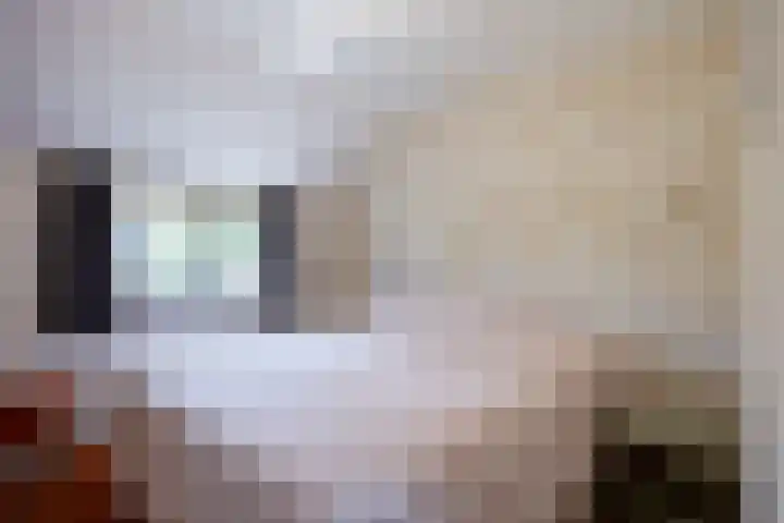 Boelewijk 5 De Wilp thumbnail 44